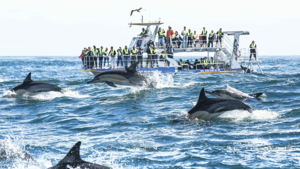 Marine Big 5 Trip