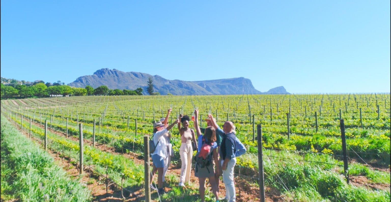 Constantia Wine Walk